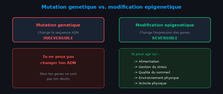 Comparaison entre mutations génétiques (irréversibles) et modifications épigénétiques (réversibles) avec les leviers d'action concrets